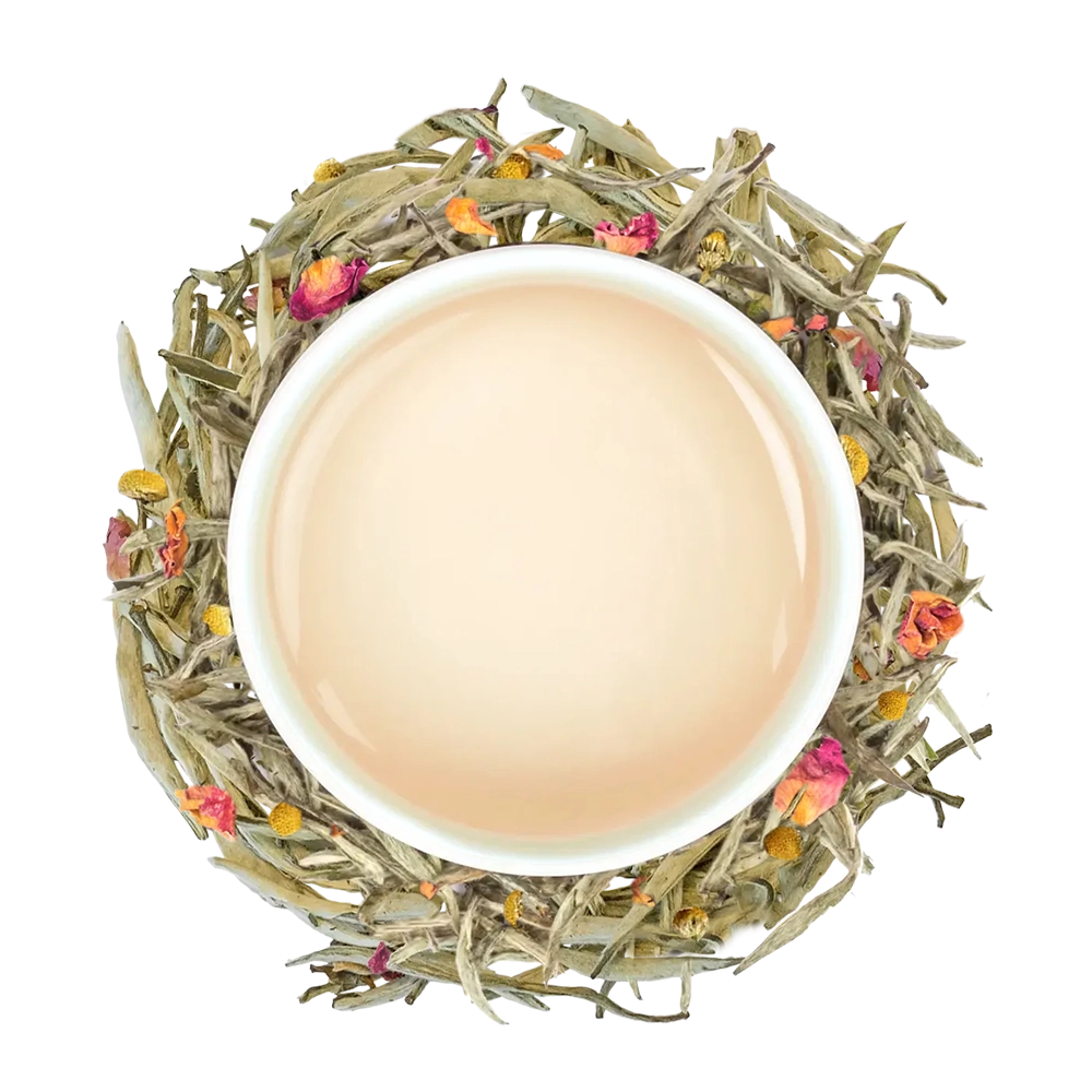 Pantone Color of the Year 2026 Cloud Dancer