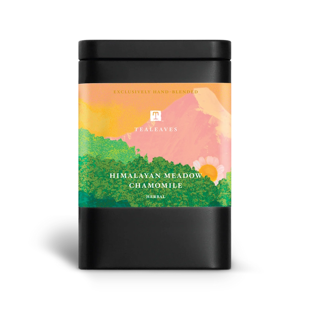 Camomille des prés de l'Himalaya