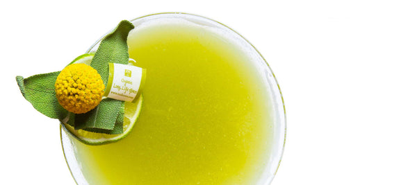 349c Green Tea Cocktail Recipe