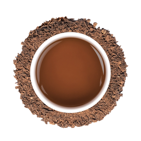 Pantone Color of the Year 2025 Mocha Mousse