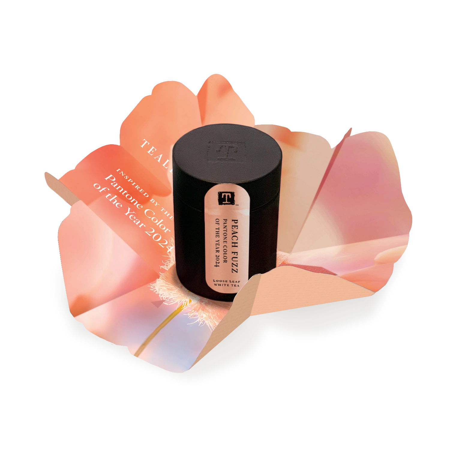 Couleur Pantone de l'année 2024 Peach Fuzz