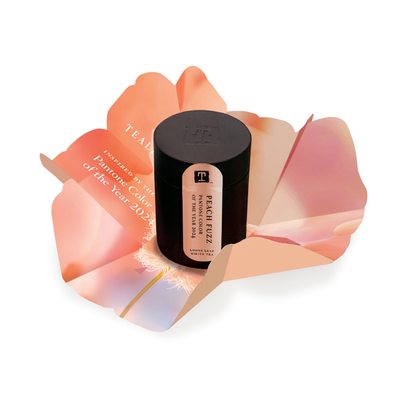 Pantone Color of the Year 2025 Peach Fuzz