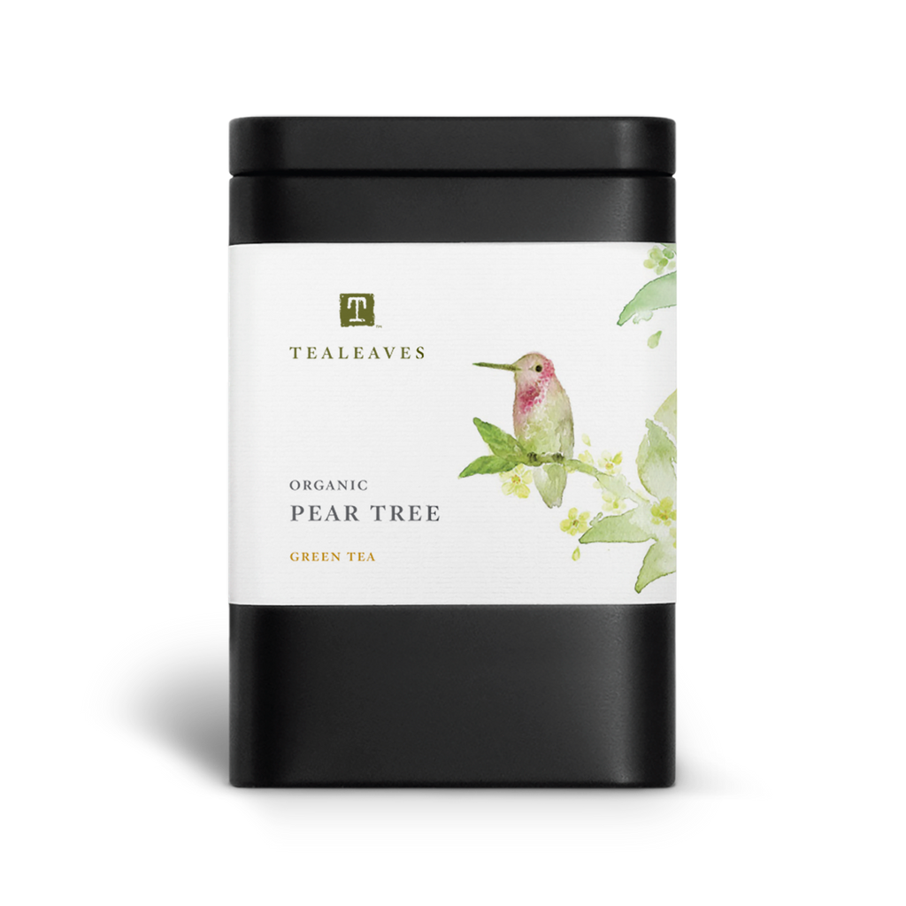 Organic Pear Tree Green Loose Leaf Tea | TEALEAVES