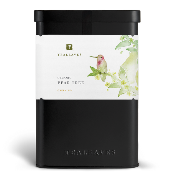 Organic Pear Tree Green Loose Leaf Tea | TEALEAVES